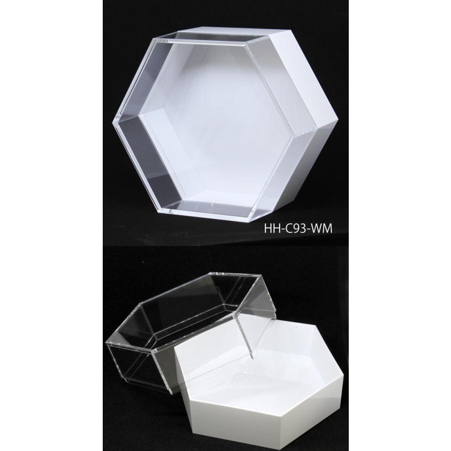 Hacocoro フェリーチェ キュート HH-C93 六角形 花材 花器 インテリア