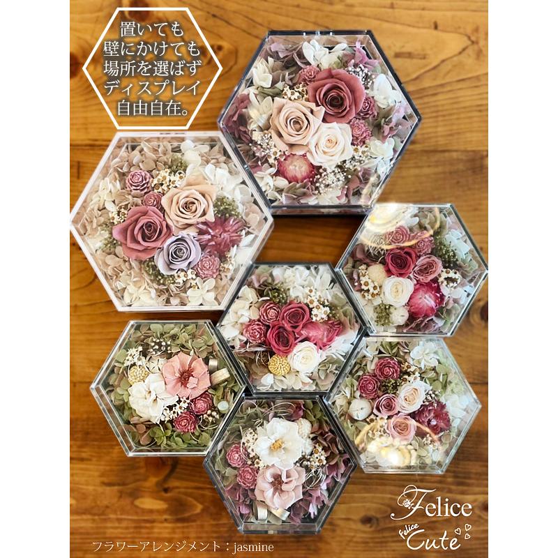 Hacocoro フェリーチェ キュート HH-C93 六角形 花材 花器 インテリア