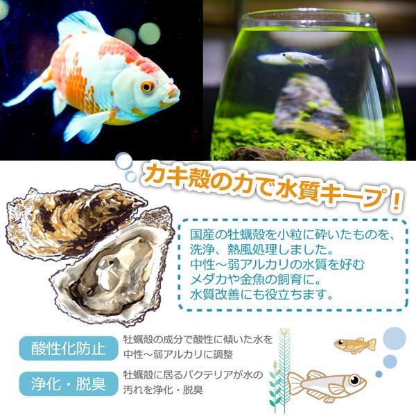 かき殻 900g 小粒 観賞魚用 金魚 メダカ用 脱酸素剤入り 水質調整 国産 カキ殻 浄化 脱臭 酸性化防止 牡蠣殻 カキガラ Smile Pet Club Kakikara900 匠ーtakumiー 通販 Yahoo ショッピング