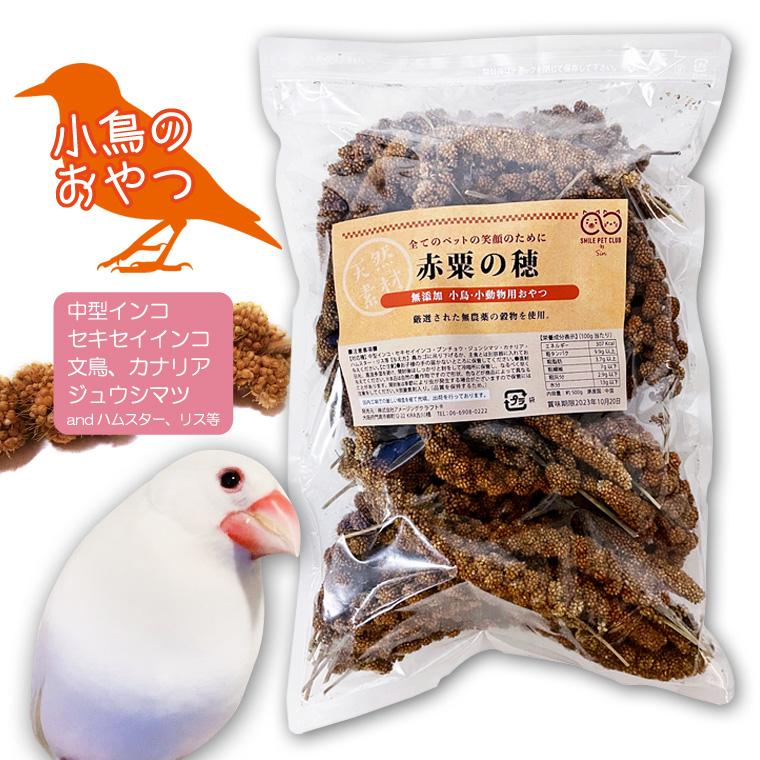 無農薬 赤粟の穂 500g 小鳥の餌 フード 天然 無農薬 小動物にも 小鳥おやつ セキセイインコ ブンチョウ カナリア ハムスター SMILE PET CLUB（Yahoo!・匠ーTAKUMIー）