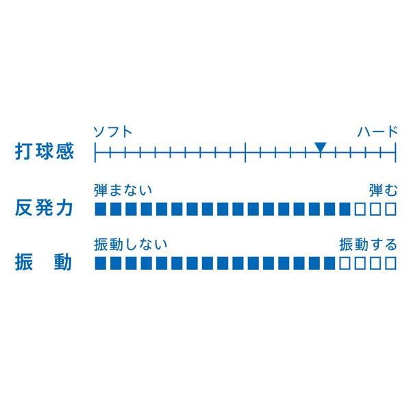 VICTAS（ヴィクタス） aob0246 ZX-GEAR IN ゼクスギア イン 卓球