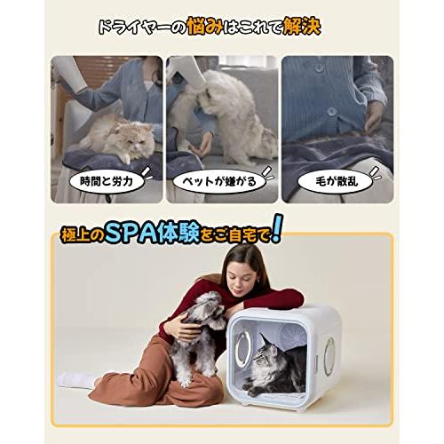 人気特価人気特価Homerunpet ドライハウス Drybo Plus ドライボプラス