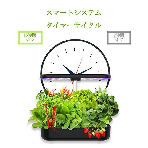 ファッション通販水耕栽培 セット 水耕栽培キット 花、果物 高さ調節