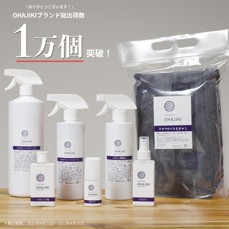 やさしい鉄粉取り 鉄粉除去剤 鉄粉クリーナー 鉄粉除去スプレー 500ml ブレーキダストクリーナー 除去 洗浄 車体 ホイールどちらもok プロ向け 業務用 Ohajiki Ohjktep おはじき洗車専門店 公式 通販 Yahoo ショッピング