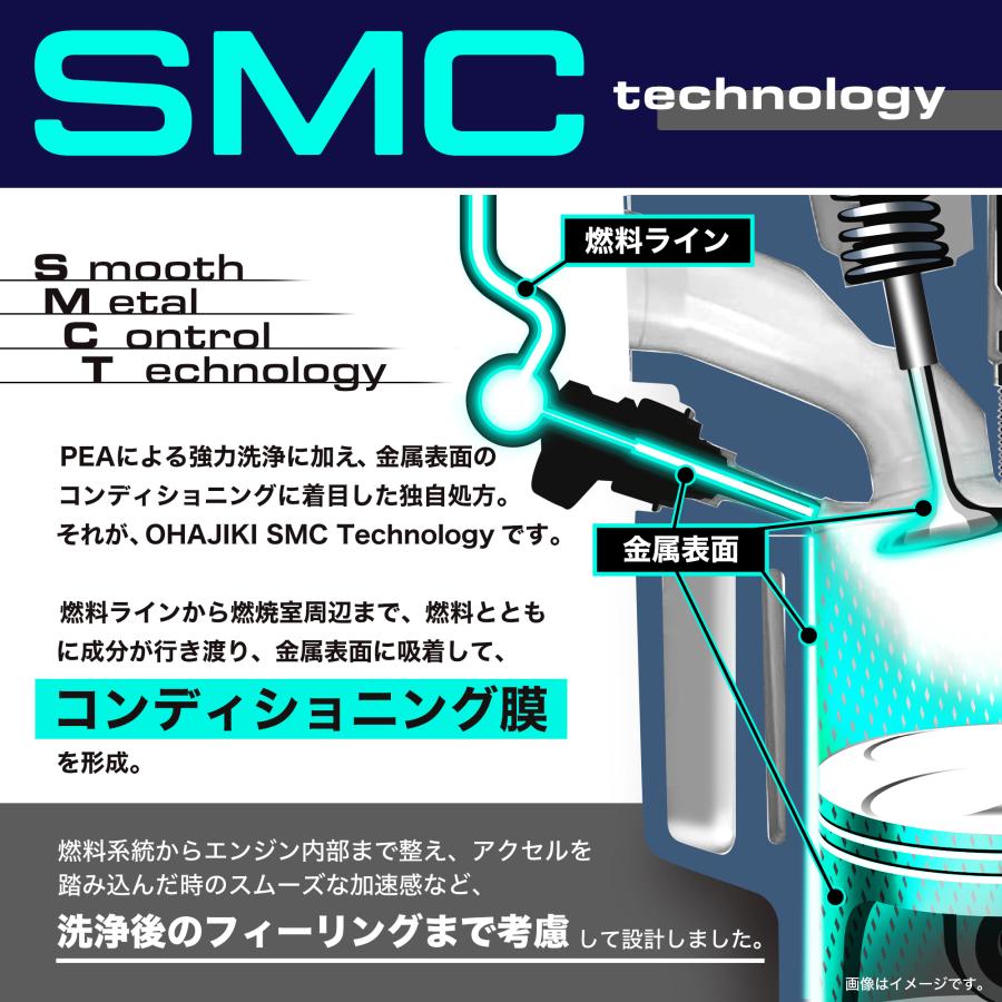 OHAJIKI】The FUEL 高純度PEA燃料添加剤 ガソリン車用 高温燃焼域に特