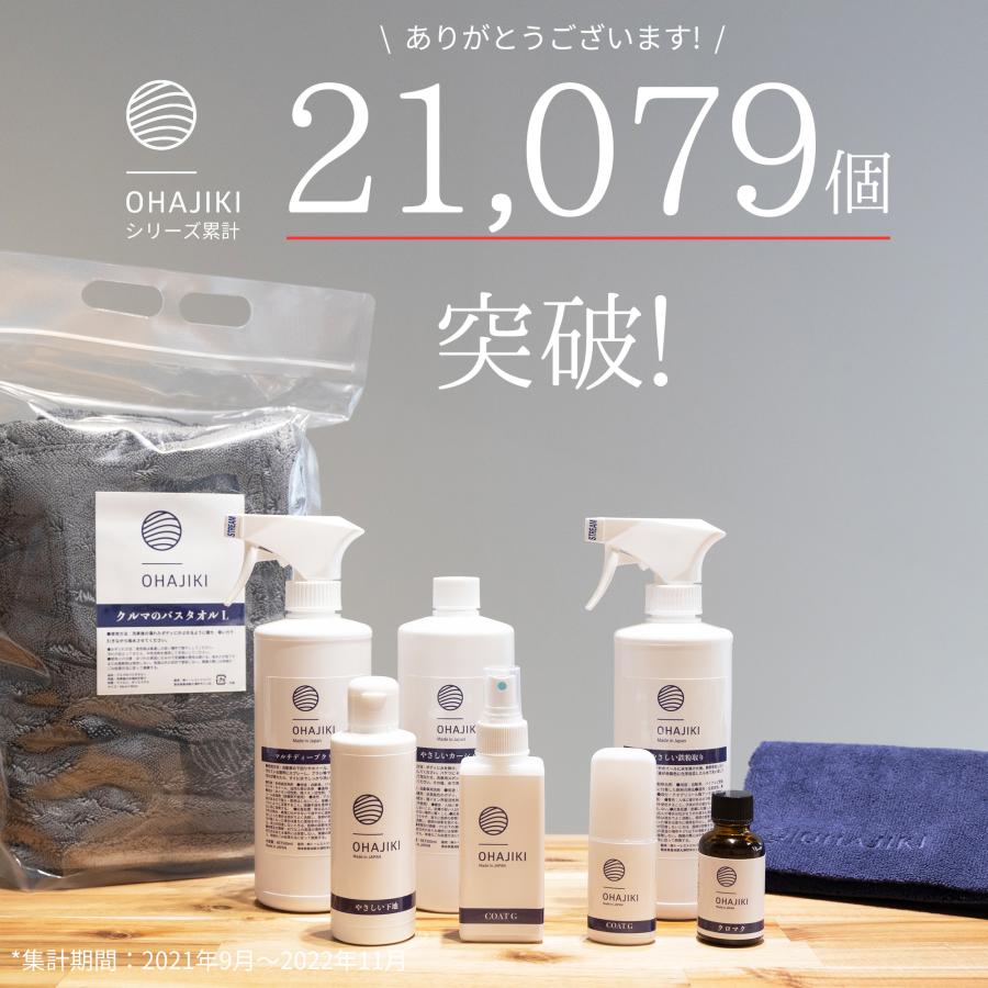 1台15.9円】やさしいカーシャンプー 500ml 洗車 泡 シャンプー