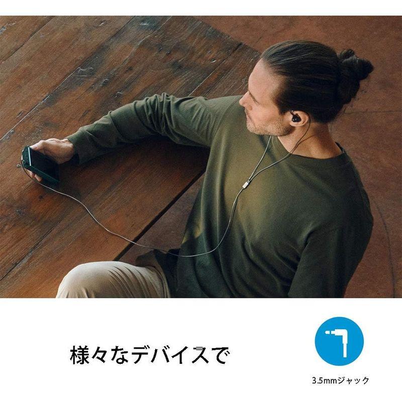 お買い得パック Sennheiser ゼンハイザー 国内正規品 有線イヤホン IE 300， ダイナミック、カナル型、オーディオファイル MMCX、高遮音性