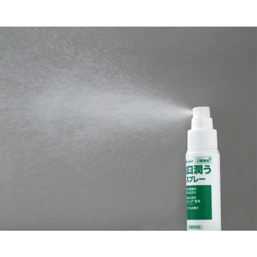 ケアハート 口腔専科 お口潤う スプレー 50mL タマガワエーザイ 口腔 口中 ケア 乾燥 口臭 うるおい 潤い 潤す うるおす 保湿 リピジュア アップル | ケアハート | 08