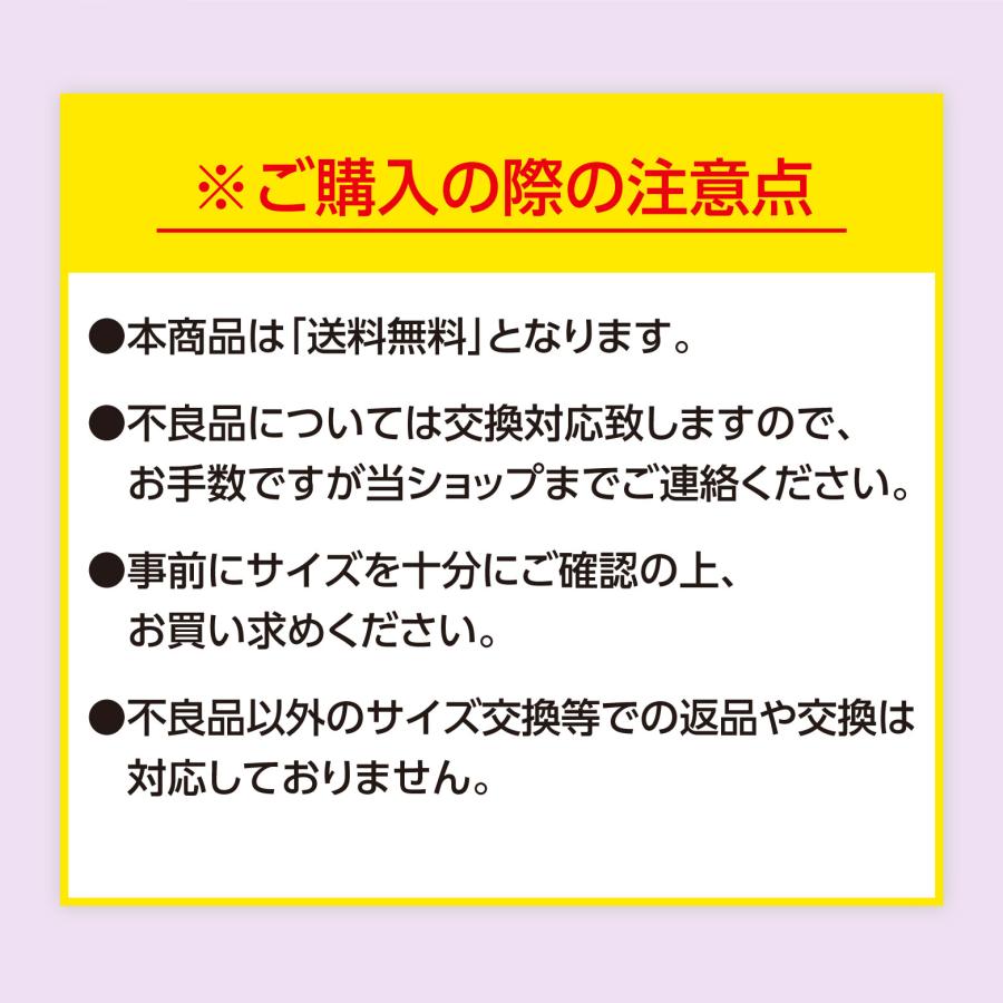 フェミルテ 骨盤底筋持ち上げサポーター 1枚入 ベージュ L-LL : Fitty