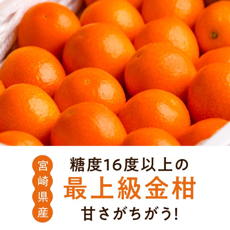 金柑 たまたま 宮崎産 3l 700g 特大 サイズ お取り寄せ グルメ 完熟 キンカン きんかん 果物 産地直送 フルーツ 送料無料 タマチャンショップ 通販 Paypayモール