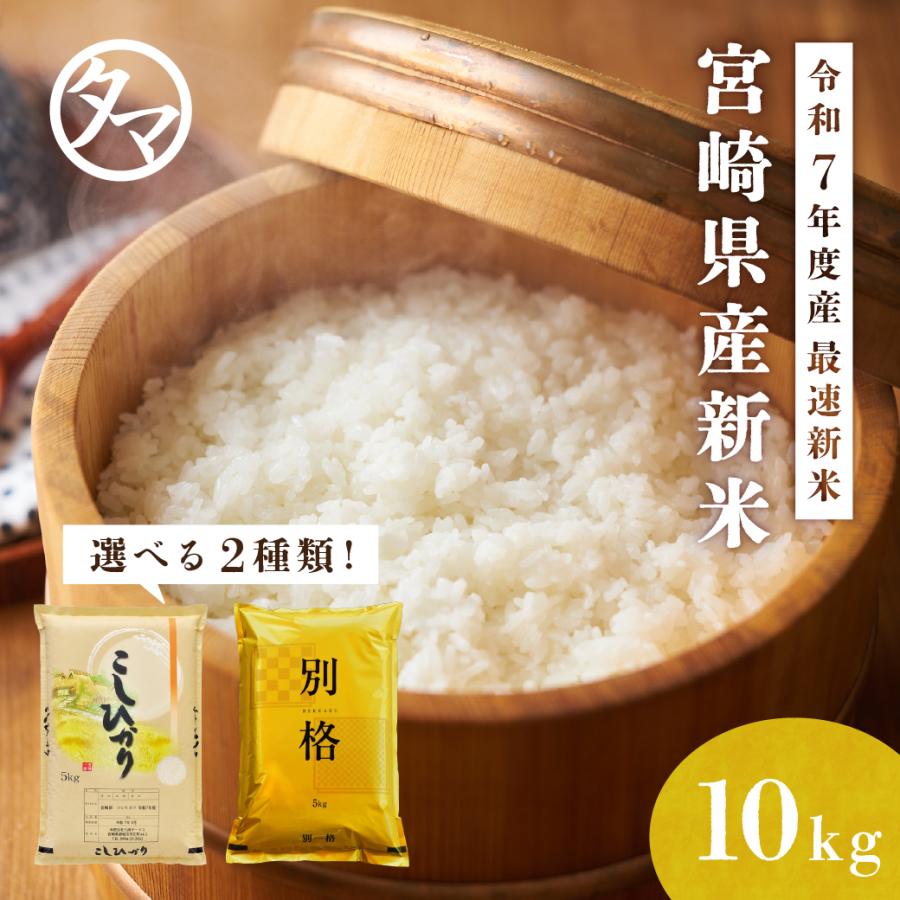 コシヒカリ 新米 10kg 送料無料 令和7年産 精白米 こしひかり 