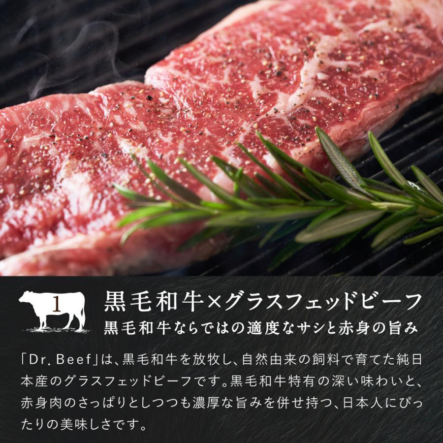 Dr.Beef 焼肉2種セット 合計1050g(ロース150g×3 切り落とし200g×3) 純日本産 グラスフェッドビーフ 国産 黒毛和牛 赤身 牛肉 焼き肉 お歳暮 ギフト 送料無料｜tamachanshop｜11