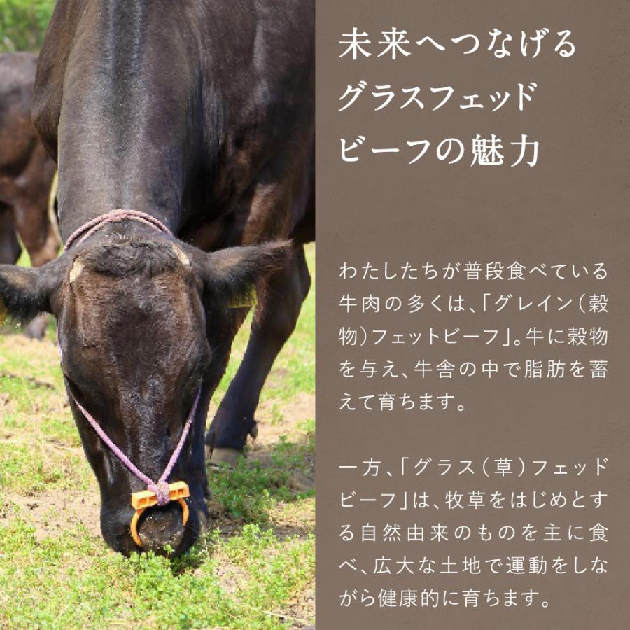 Dr.Beef ヒレステーキ 合計150g 150g×1枚 純日本産 グラスフェッドビーフ 国産 黒毛和牛 赤身 牛肉 焼き肉 お歳暮 ギフト｜tamachanshop｜06