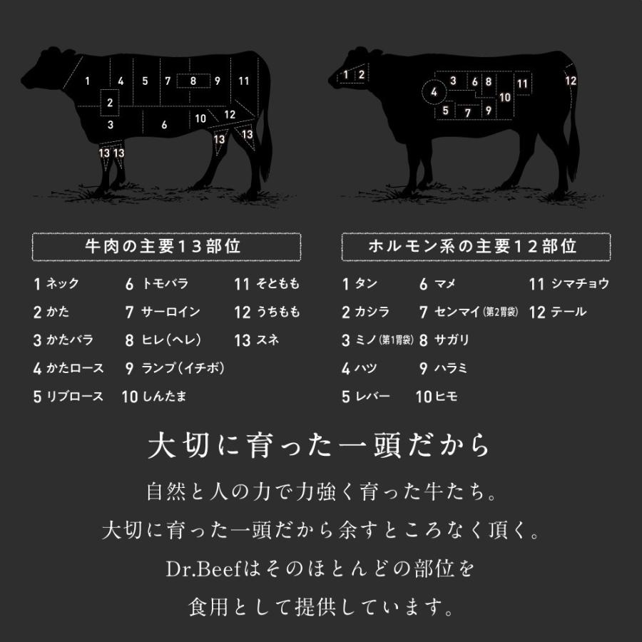 超安い Dr Beef サーロインステーキ 合計1 5kg 150g 10枚 純日本産 グラスフェッドビーフ 国産 黒毛和牛 赤身 牛肉 焼き肉 q お歳暮 ギフト 送料無料 Riosmauricio Com