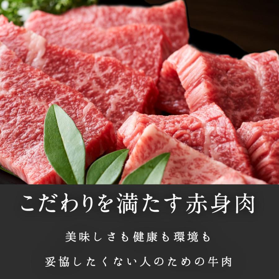 Dr.Beef ホルモンミックス 200g アカセン 小腸 大腸 ドクタービーフ Dr.ビーフ 純日本産 グラスフェッドビーフ 国産 九州 黒毛和牛 牛肉 焼き肉 お歳暮 ギフト｜tamachanshop｜02