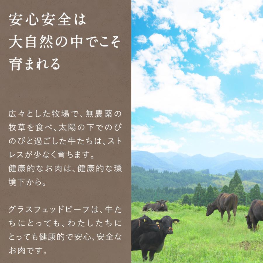 Dr.Beef ホルモンミックス 1kg(200g×5) アカセン 小腸 大腸 ドクタービーフ Dr.ビーフ 純日本産 グラスフェッドビーフ 九州 黒毛和牛 牛肉 送料無料｜tamachanshop｜07