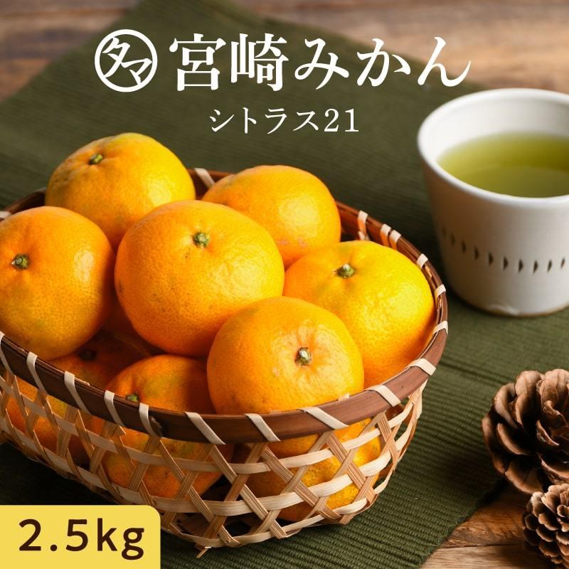 タマチャンショップ みかん 2.5kg シトラス21 宮崎産 産地直送 タマチャンショップ みかん 2.5kg シトラス21 宮崎産 産地直送