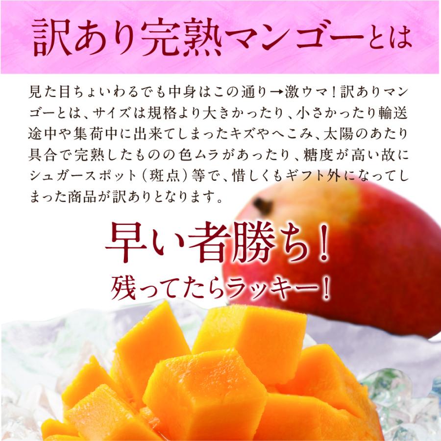 訳あり宮崎完熟マンゴー 約2.5kg 5〜8玉 マンゴー わけあり くだもの 