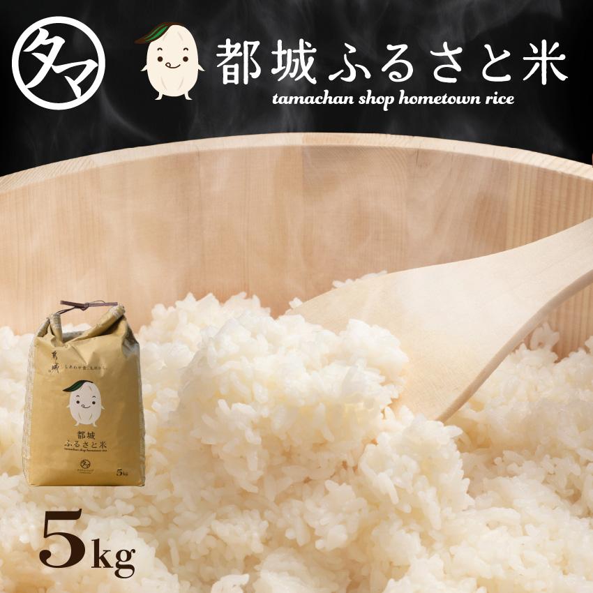 お米 新米 ひのひかり 5kg 精白米 都城ふるさと米 白米 令和6 お米 新米 ひのひかり 5kg 精白米 都城ふるさと米 白米 令和6