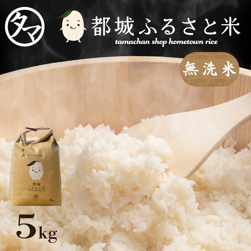 ヒノヒカリ お米 ひのひかり 5kg 無洗米 都城ふるさと米 白米 令和6 