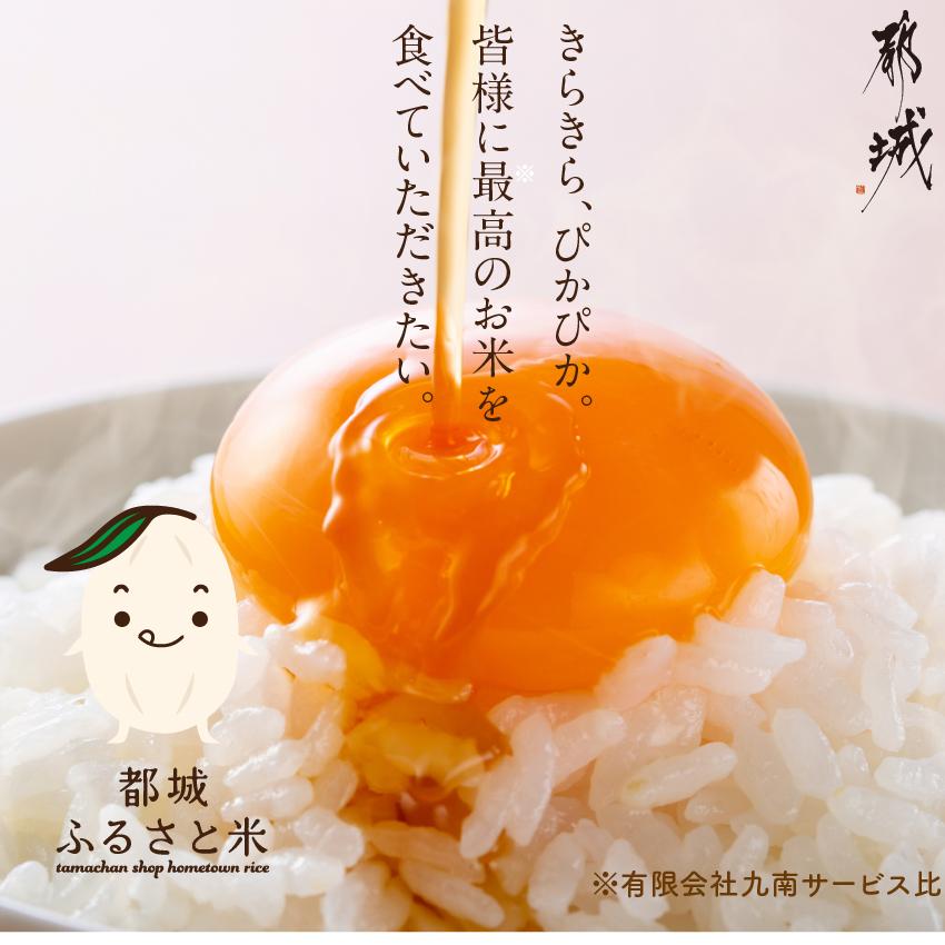 ヒノヒカリ お米 ひのひかり 5kg 無洗米 都城ふるさと米 白米 令和6 