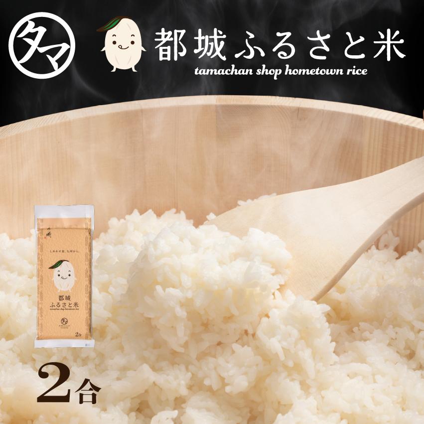 ヒノヒカリ お米 新米 ひのひかり 300g 2合 精白米 都城ふるさと ヒノヒカリ お米 新米 ひのひかり 300g 2合 精白米 都城ふるさと