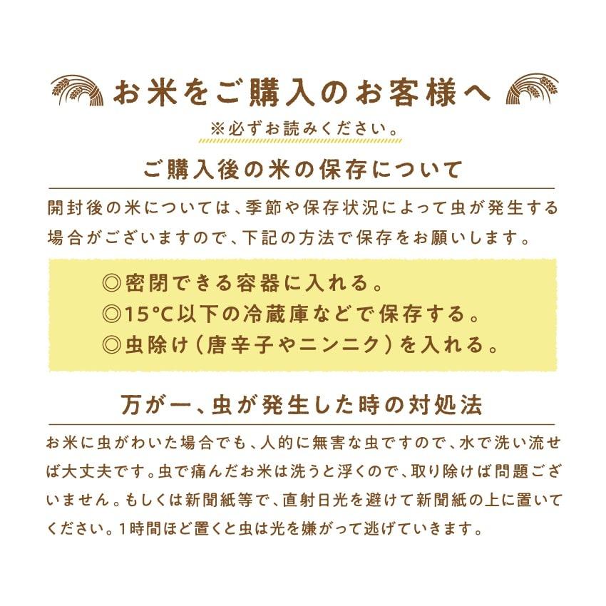 都城ふるさと米 300g/2合(精白米）令和4年産ひのひかり 九州 米 宮崎県都城市産 送料無料｜tamachanshop｜17