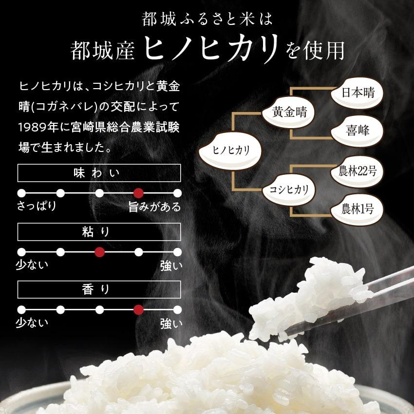 都城ふるさと米 300g/2合(精白米）令和4年産ひのひかり 九州 米 宮崎県都城市産 送料無料｜tamachanshop｜03