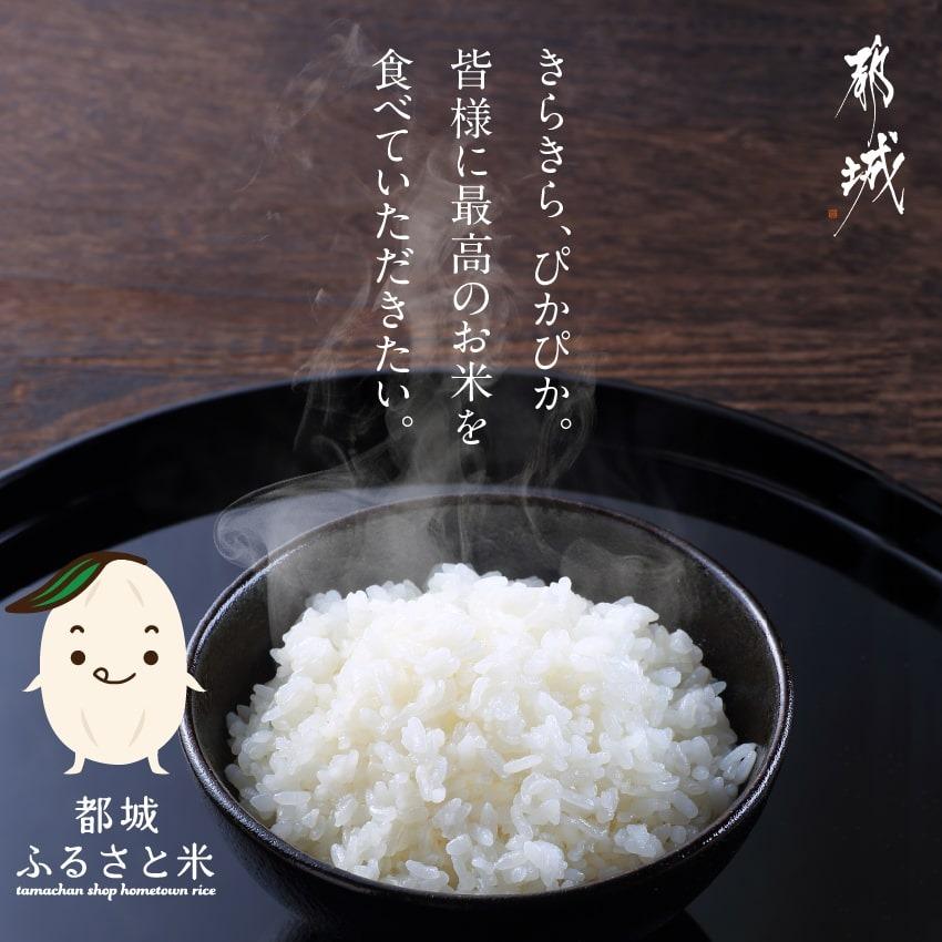 ヒノヒカリ お米 新米 ひのひかり 300g 2合 精白米 都城ふるさと ヒノヒカリ お米 新米 ひのひかり 300g 2合 精白米 都城ふるさと