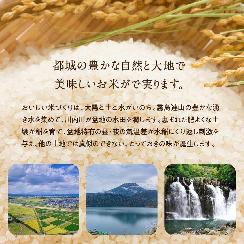 令和6年収穫新米　10キロ　宮崎県都城産 楽天市場】【令和6年産】米 10kg 宮城県産 つや姫 (5kg×2） 国産