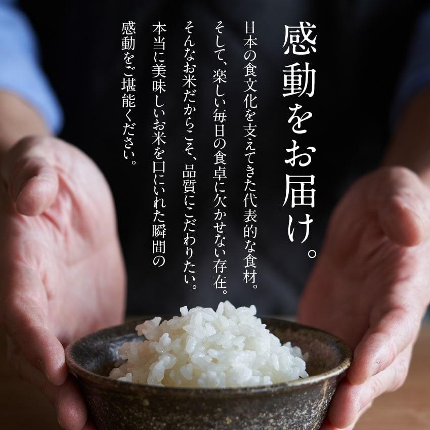 都城ふるさと米 20kg(精白米)令和6年産まいひかり 九州 米 宮崎 都城ふるさと米 20kg(精白米)令和6年産まいひかり 九州 米 宮崎