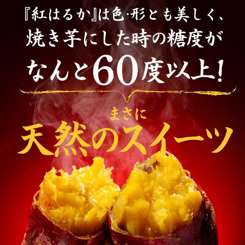 タマチャンショップ 紅はるか 3kg 生芋 スイーツ さつまいも 焼き芋