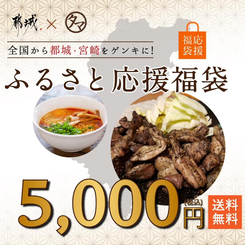 ふるさと応援福袋 5 000円セット 常温便 宮崎県産 宮崎県都城市 訳あり ロス 在庫処分 お取り寄せグルメ フードロス 食品 ロス セット ふっこう 送料無料 タマチャンショップpaypayモール店 通販 Paypayモール