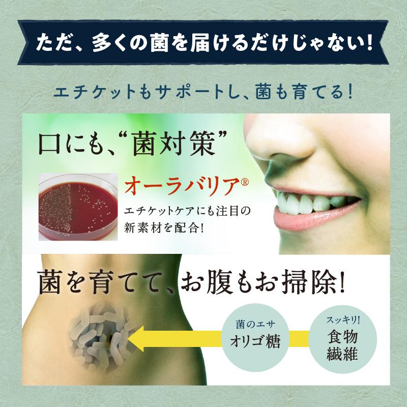 タマチャンショップ 乳酸菌 サプリ 粉末 腸活 100g 美粉屋 ちょーぐる