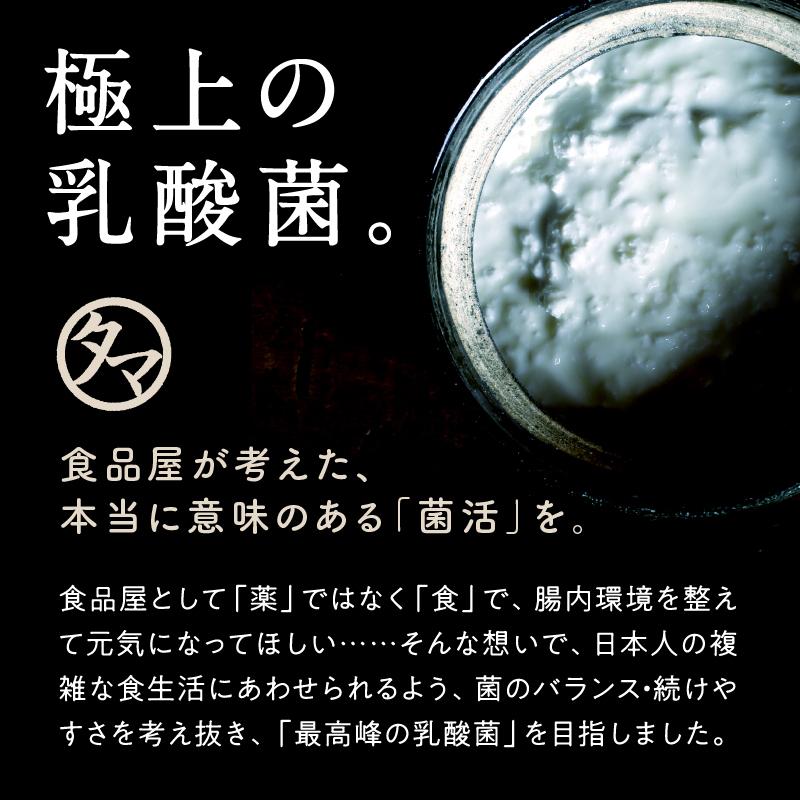 タマチャンショップ 乳酸菌 サプリ 粉末 腸活 100g 美粉屋 ちょーぐる