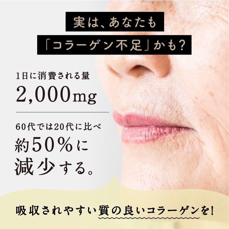 コラーゲン パウダー ペプチド こなゆき 粉末 サプリ 100g 5袋セット 高純度 低分子 一番搾り 美容 まとめ買い 美粉屋 送料無料 | タマチャンショップ | 04