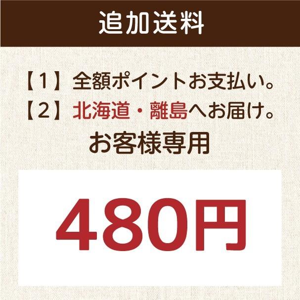 タマチャンショップ 配送オプション 北海道・離島 追加送料480円