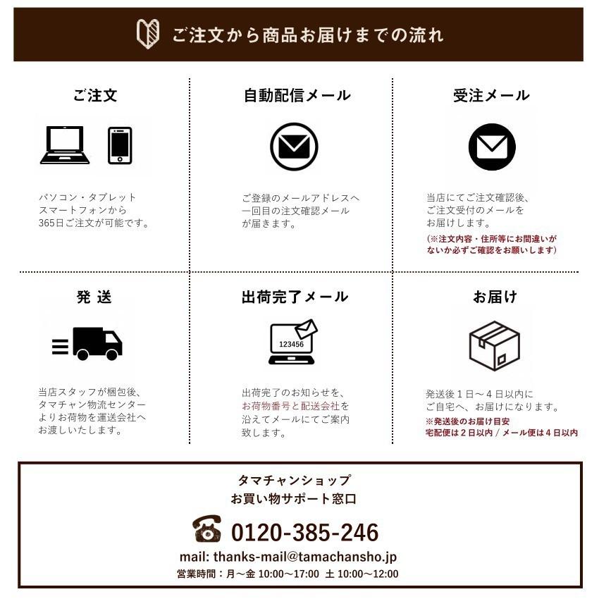 タマチャンオリジナルギフトボックス (ギフト ラッピング 手提げ 袋