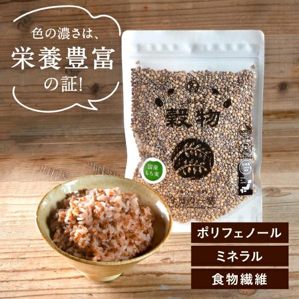 もち麦 国産 500g (250g×2袋) 雑穀 雑穀米 小分け 食物繊維 令和3年産 β-グルカン ダイエット ヘルシー 美容 健康 送料無料｜tamachanshop｜02