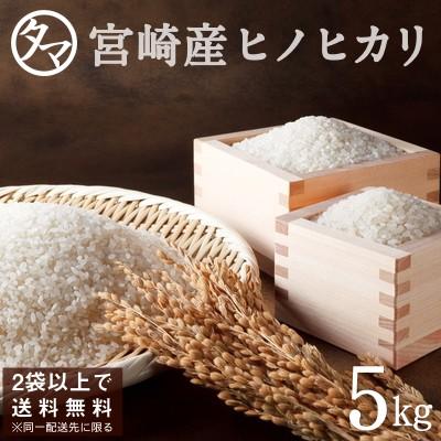 ひのひかり 令和5年産 5kg 宮崎県産 精白米 白米 ヒノヒカリ お米 コメ 九州 2袋以上で送料無料｜tamachanshop