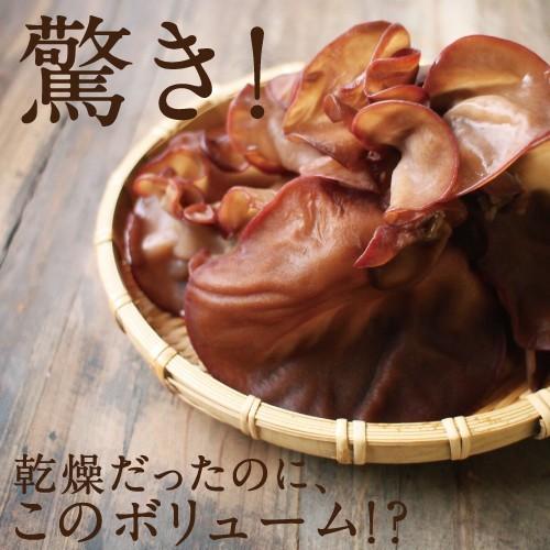 タマチャンショップ 国産きくらげ 1kg（250g×4袋） 業務用 乾燥 干し