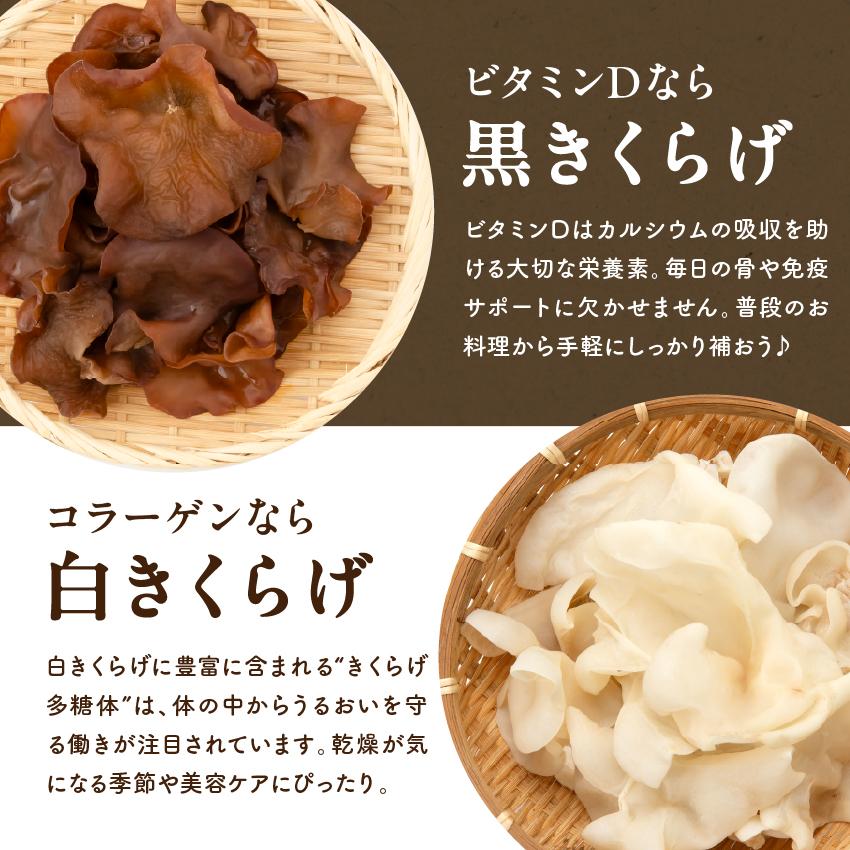 タマチャンショップ きくらげ (黒きくらげ or ゆきくらげ) 40g 国産