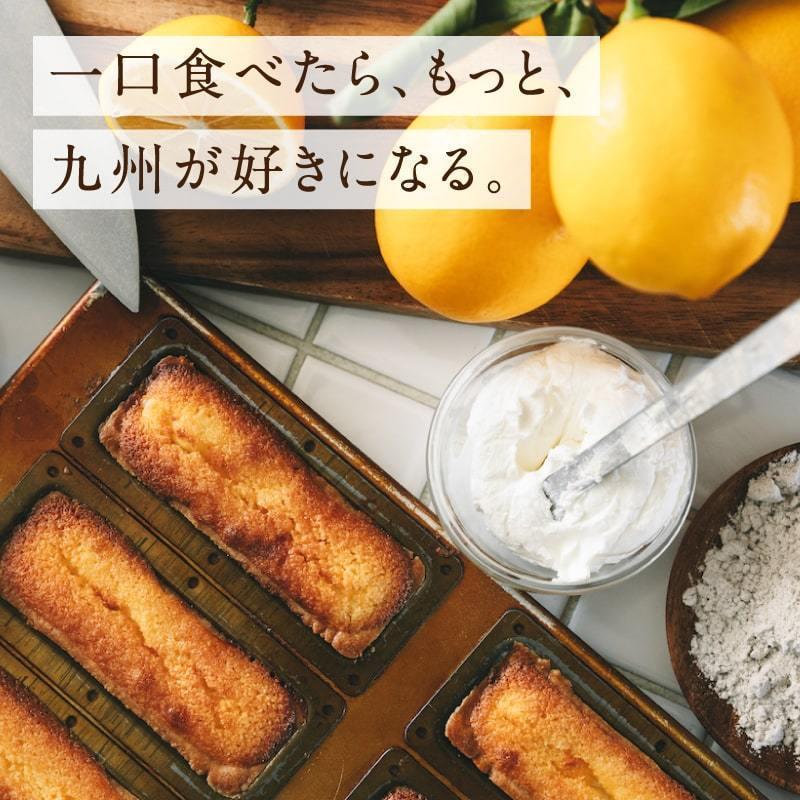 九州チーズタルト （5本入り） 10箱 チーズタルト スイーツ おやつ お菓子 お取り寄せグルメ レモン タルト ギフト プレゼント 送料無料 | タマチャンショップ | 01