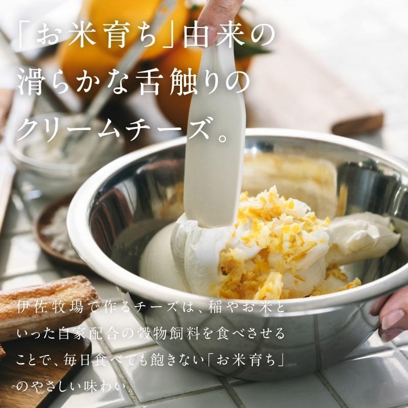 九州チーズタルト （5本入り） 2箱 チーズタルト スイーツ おやつ お菓子 お取り寄せグルメ レモン タルト ギフト プレゼント 送料無料 | タマチャンショップ | 04