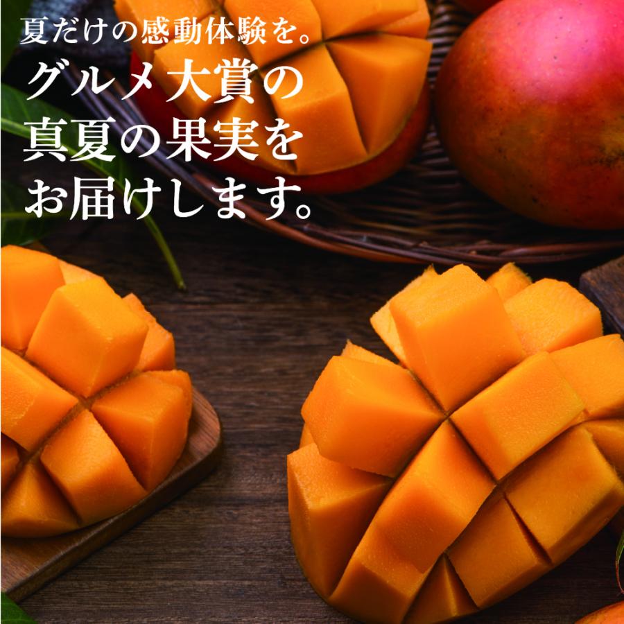 品多く ❣️お得❣️宮崎県産 完熟マンゴー 18玉入 ❣️お得❣️宮崎県産 完熟マンゴー 18玉入