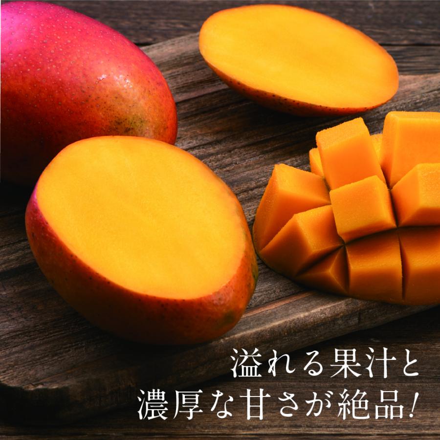 業界No.1 NY様専用^_^‼️です‼️宮崎県産完熟マンゴー特大5L 4玉② 宮崎県産完熟マンゴー特大5L 4玉②