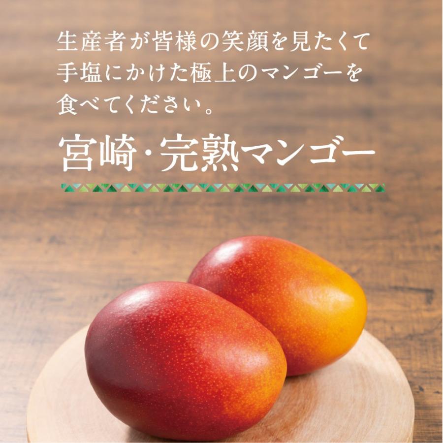 タマチャンショップ 宮崎完熟マンゴー大玉 1玉 2026年 フレッシュ 産地