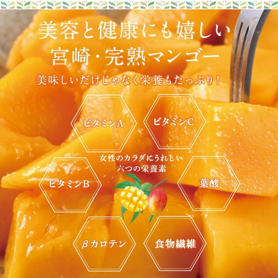 タマチャンショップ 宮崎完熟マンゴー大玉 1玉 2026年 フレッシュ 産地