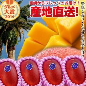 宮崎完熟マンゴー大玉 4玉 2026年 フレッシュ 産地直送 くだもの 果物 フルーツ マンゴー 母の日 贈り物 お中元 ギフト 送料無料