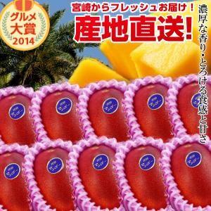 特大宮崎完熟マンゴー 10玉 2026年 フレッシュ 産地直送 マンゴー 贈り物 母の日 お中元 ギフト 贈り物 フルーツ くだもの 果物 送料無料